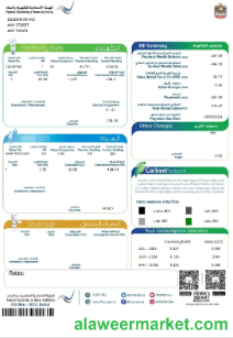 UAE Dubai Federal Electricity & Water Authority business utility bill Word and PDF template